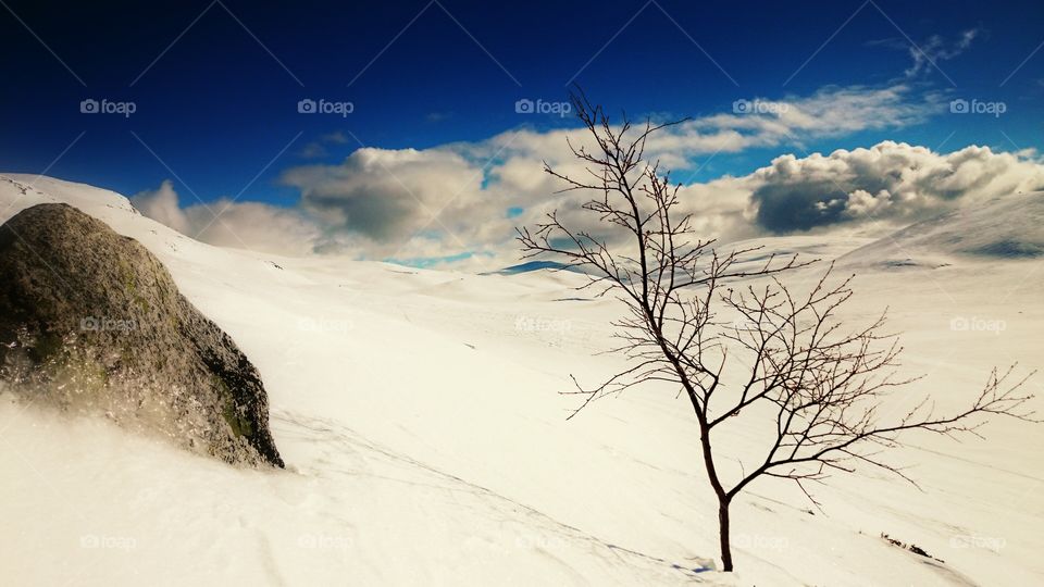 All alone. On the way to the top of Norway