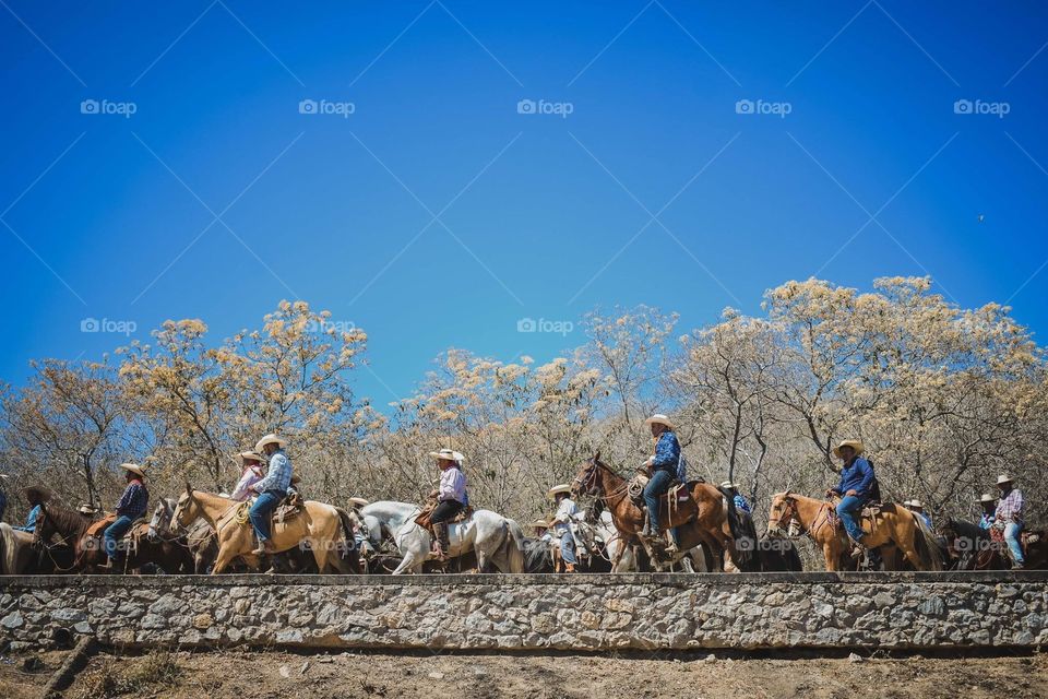 Riding horses cowboys 