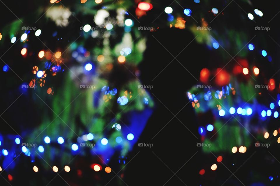Silhouette Against Christmas Tree