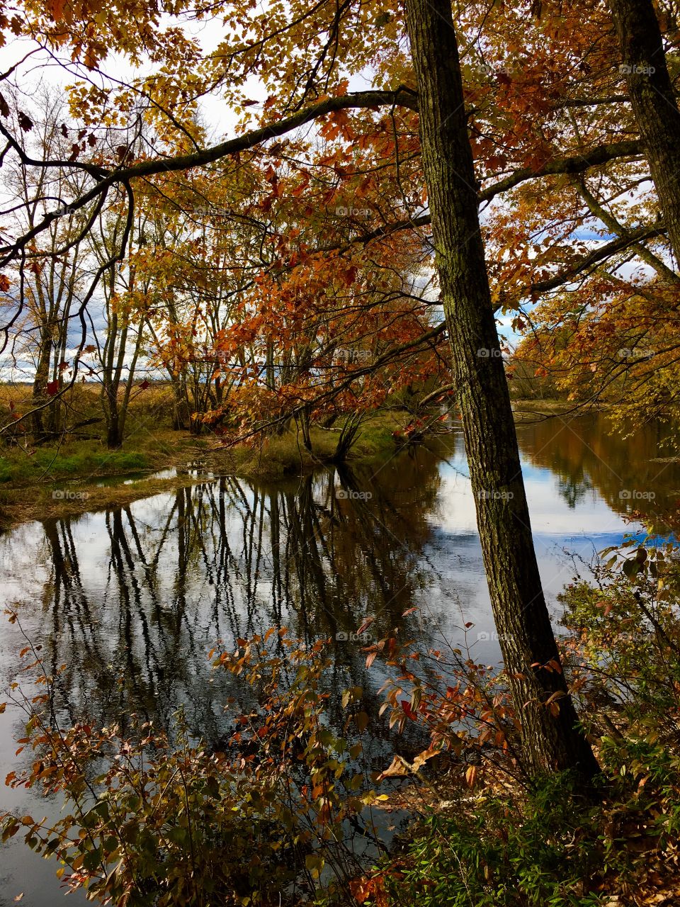 Autumn reflection 
