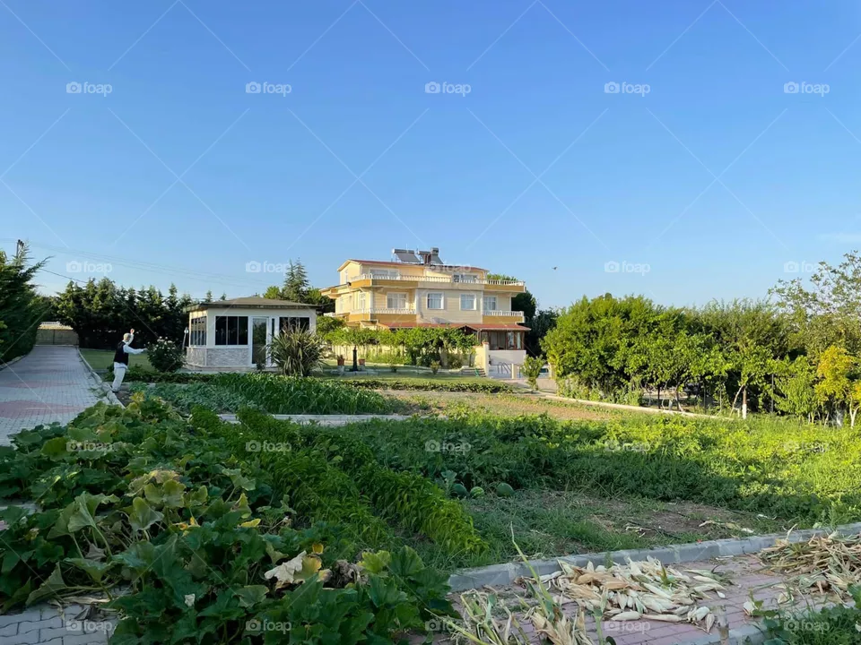 house with a view