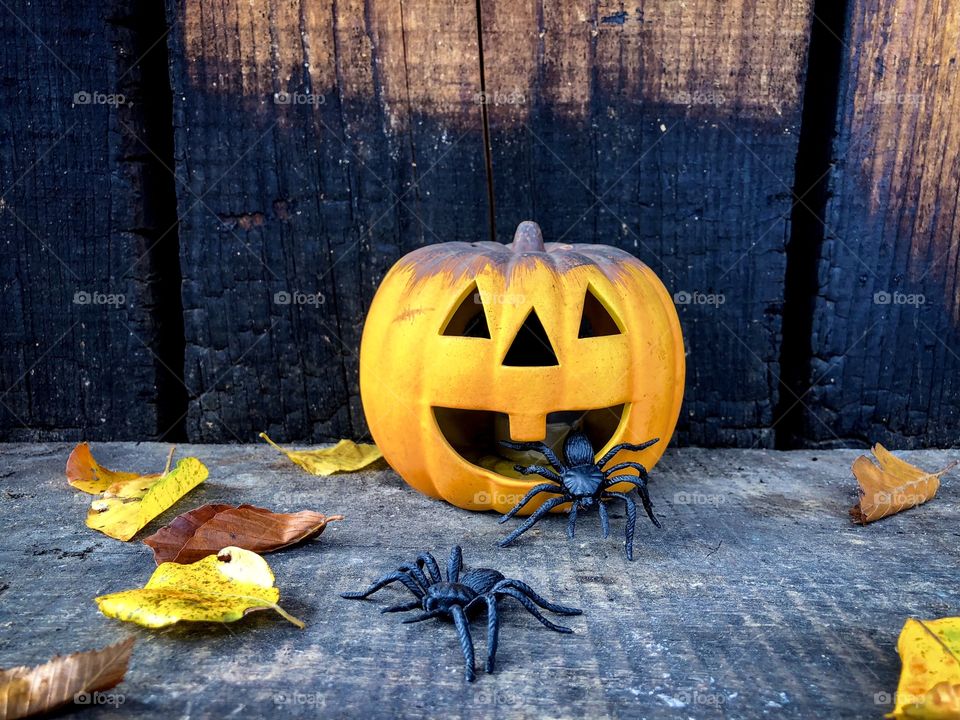 Scary pumpkin placed on rustic wooden table surrounded by big black decorative spiders and yellow leaves