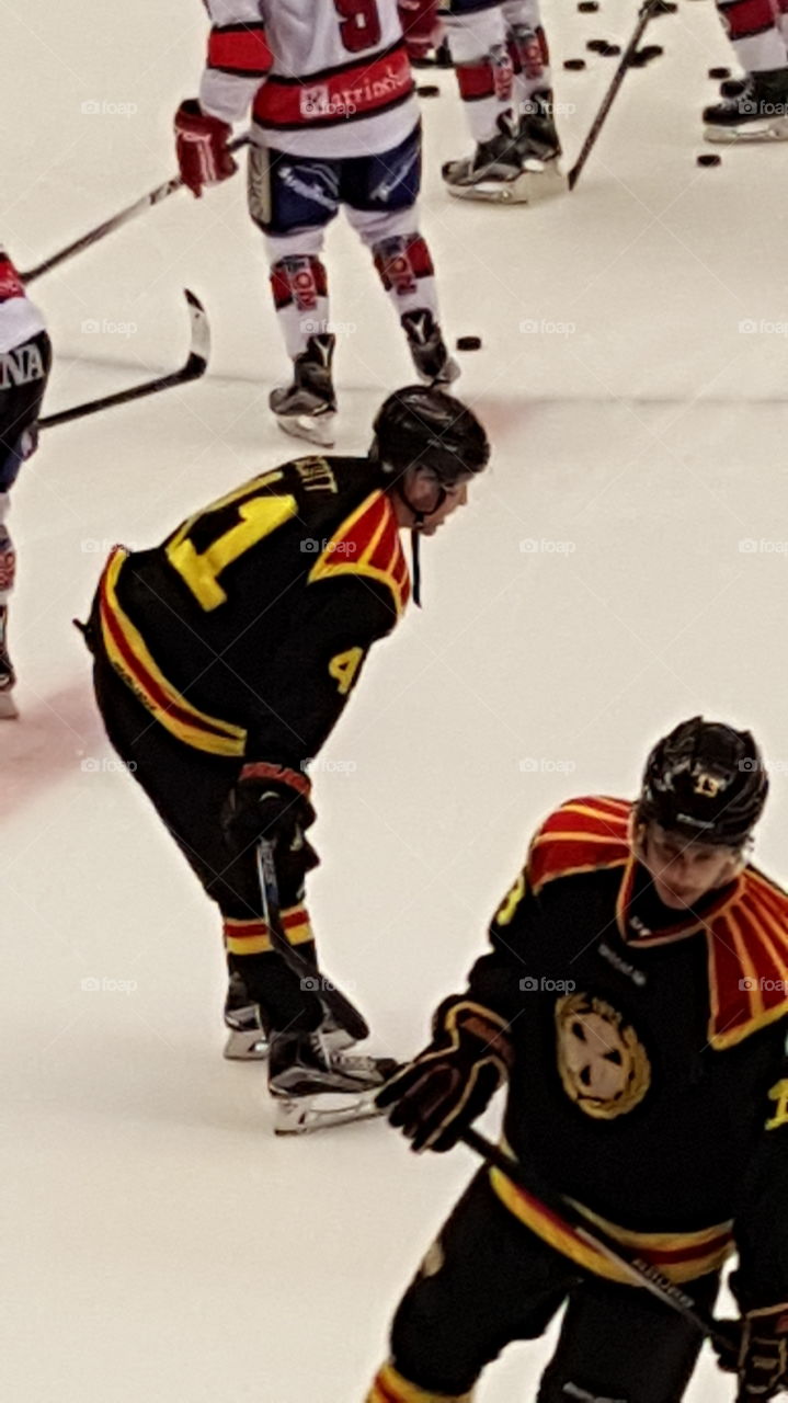 Brynäs IF player