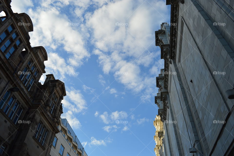 looking at the sky. looking up