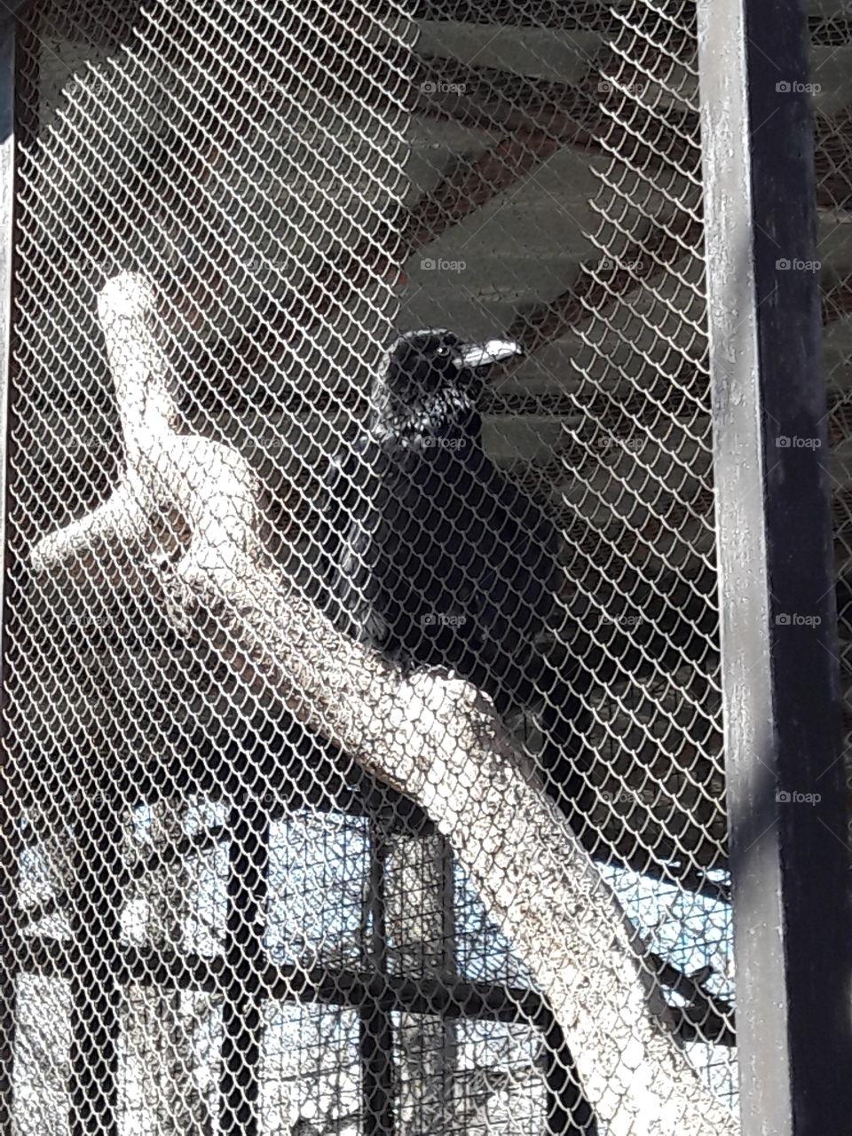 park spring time sun sunny colors colorful nature wild plants flowers amazing stunning cool nice weather hot lovely sky forest grass view splendid