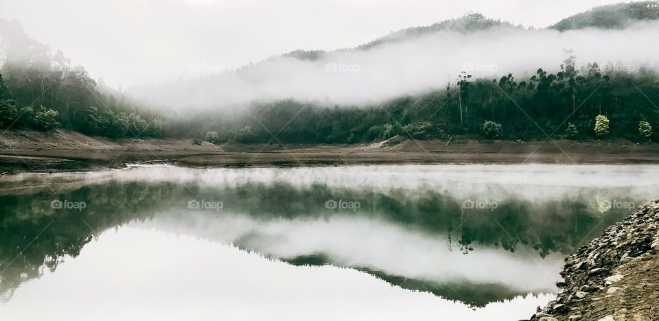 Misty morning on the river