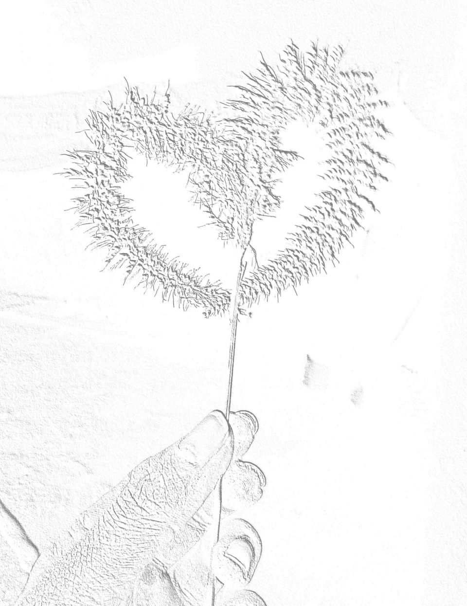 This photo of my heart / delicate heart like a photo of my heart / My heart for you / I have given you photos of my heart / Photo of my precious heart / This heart I have given to you / Photos of the most precious heart in the world / To be alive It