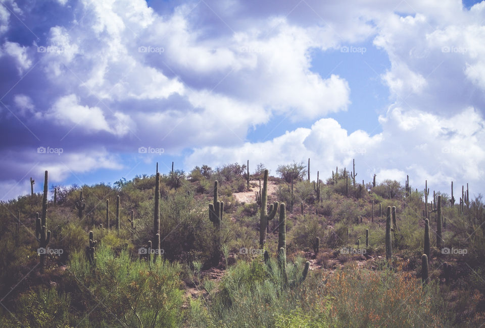 Butcher Jones. Hiking at Butcher Jones Recreation Area in Tonto National Forest