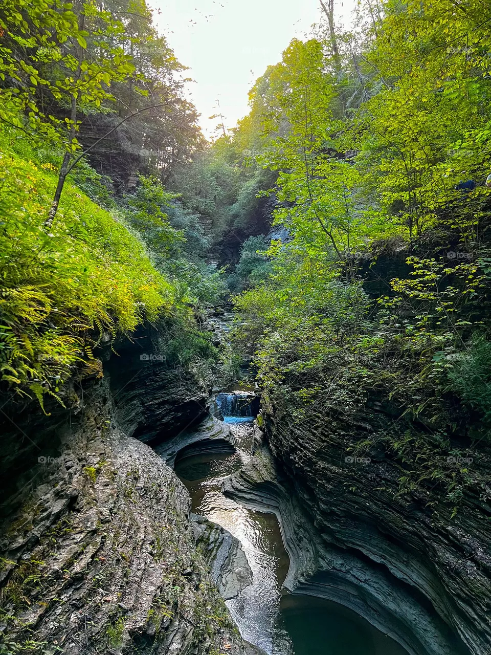 Beautiful view 