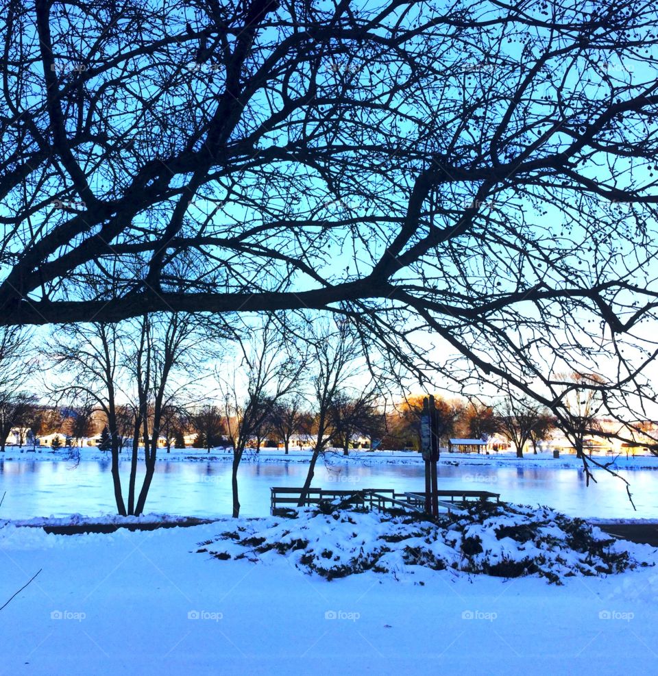Winter at the park 