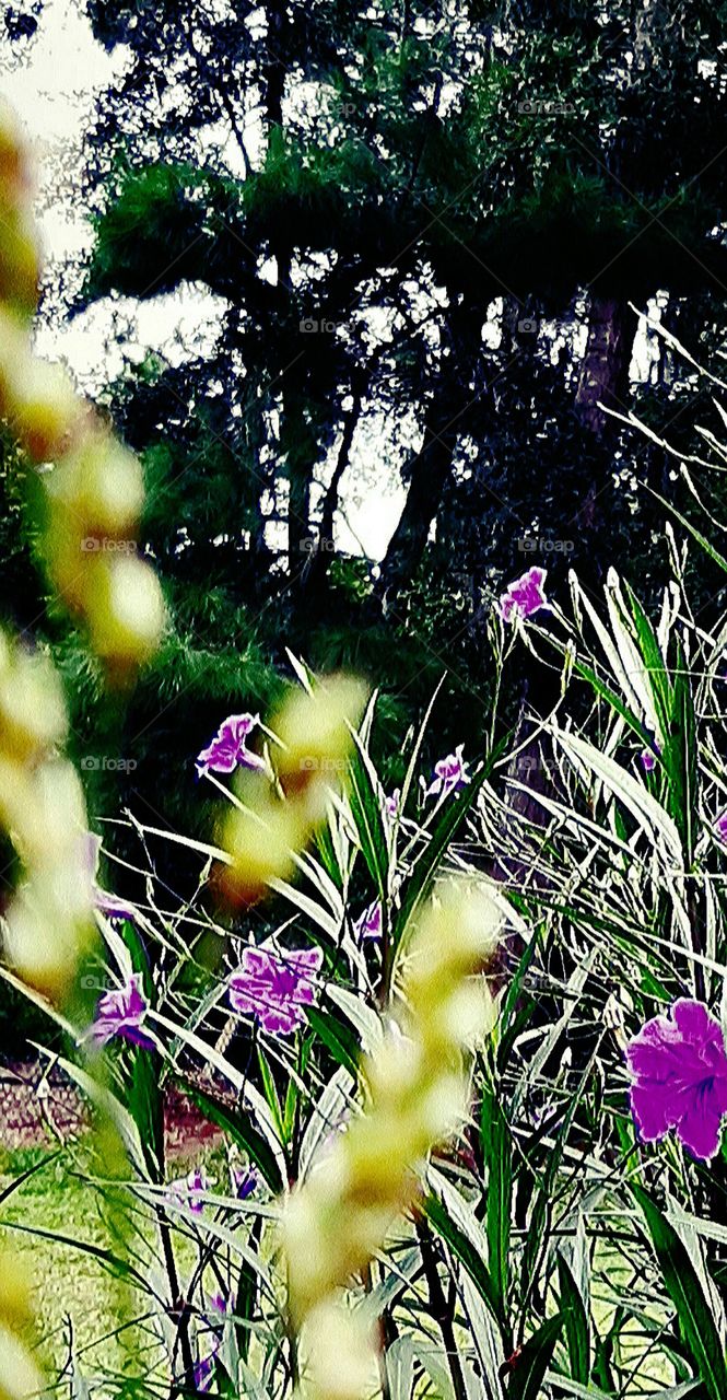 summer gives way to autumn