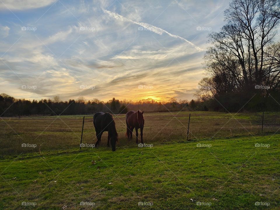 Sunset on the Range