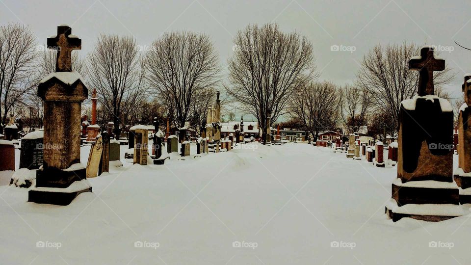 Nice tombstones in a cemetery during winter with snow and trees