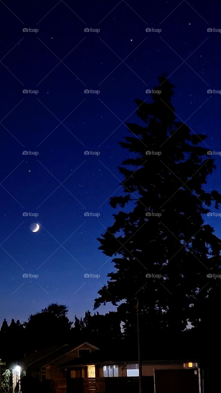 Oregon Moonlight at bluehour