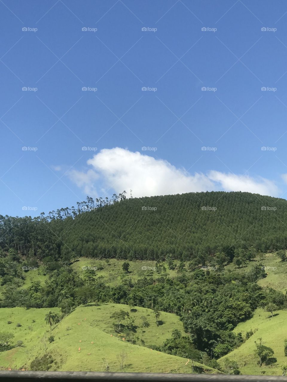 Beautiful day in São Carlos  in Brazil 