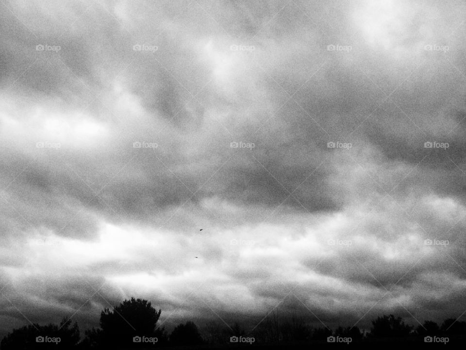 Black and White Clouds