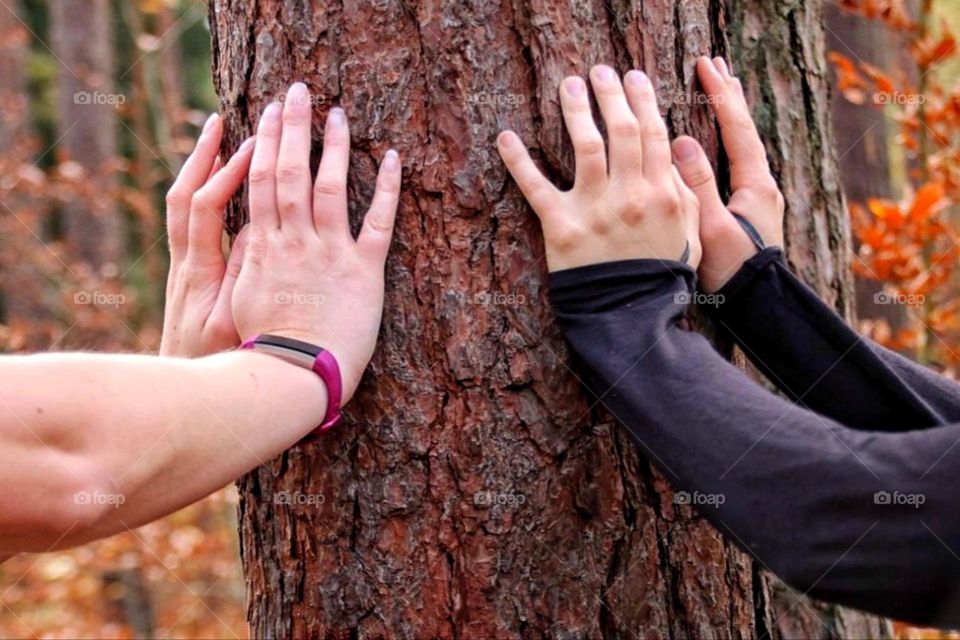 The hands of two women on a tree trunk to stretch after a run in the forest