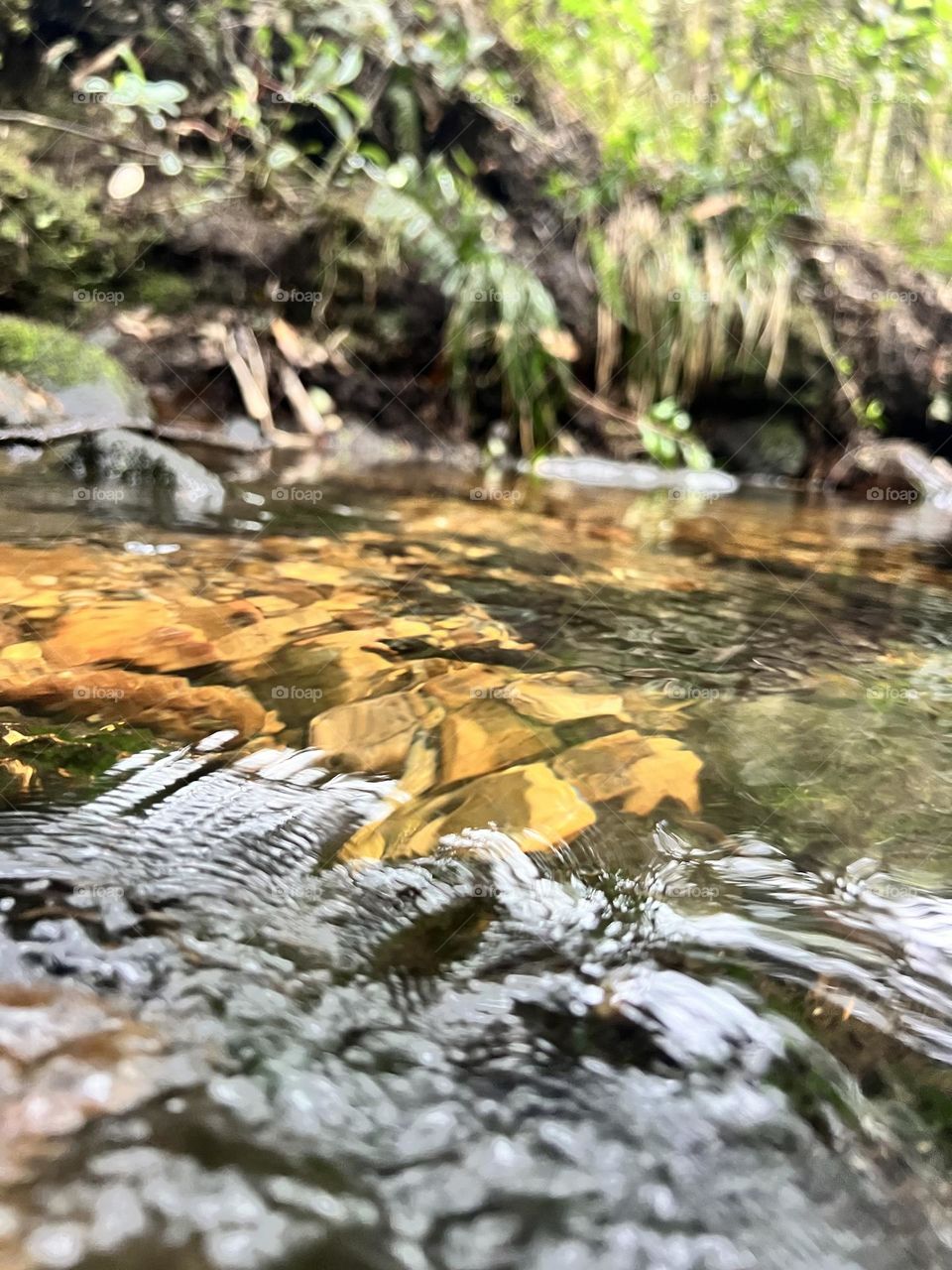 Quebrada con agua pura