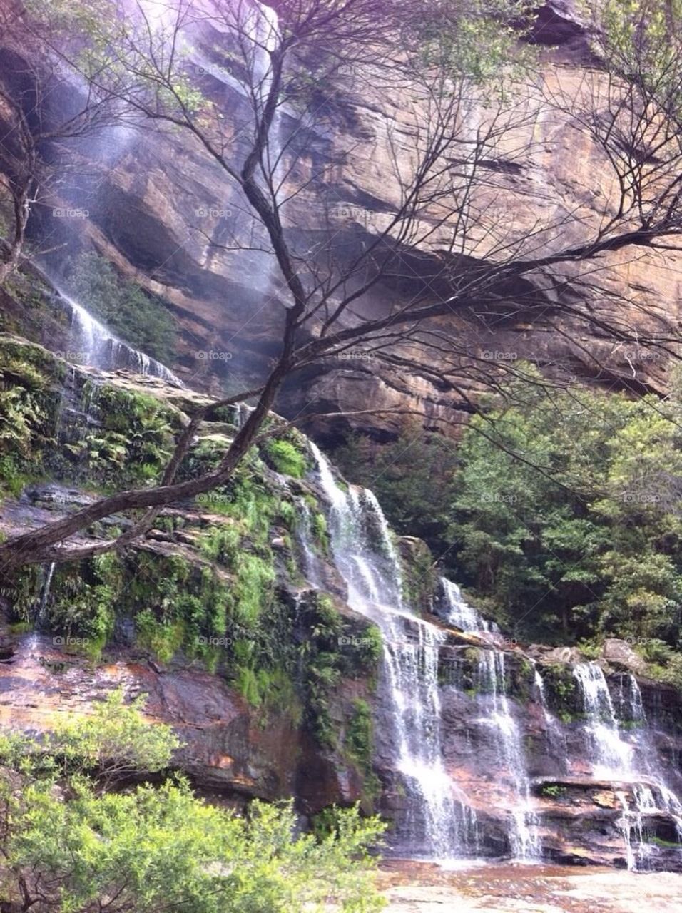 Blue Mountains Australia 