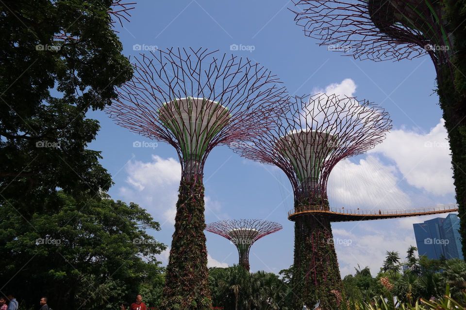 Looking up at man made trees