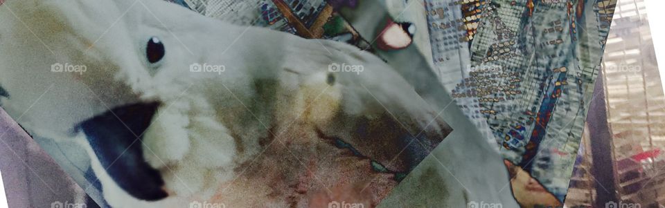 Dreams and illusions layed in madness 