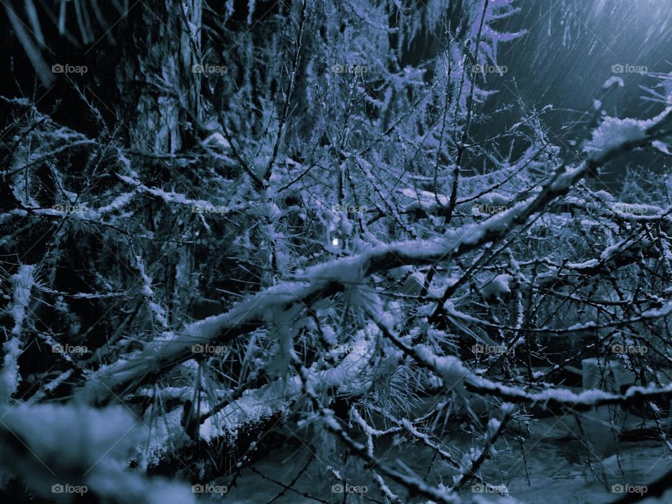 Night time snow