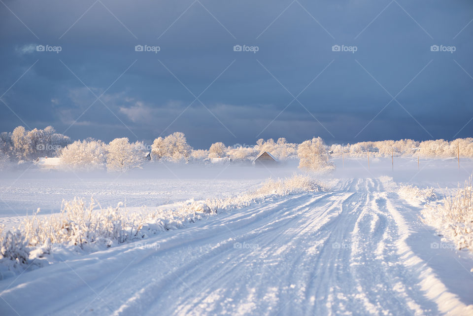 Winter road in Krimulda,Latvia