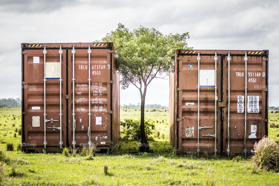 Two Shipping Containers on a field with a single lonely tree in between them