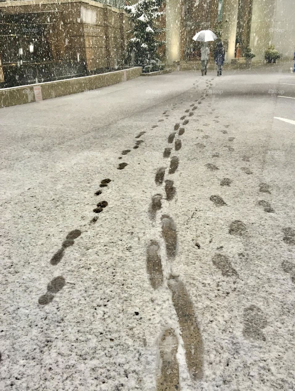 Frozen path