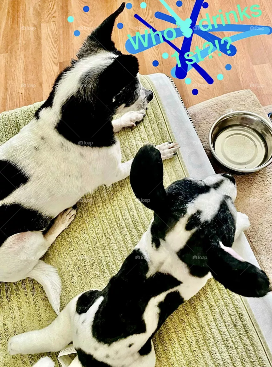 Mini me 