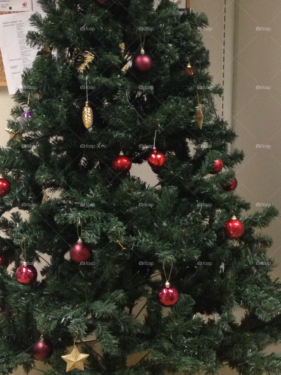 Christmas, Winter, Tree, Pine, Decoration