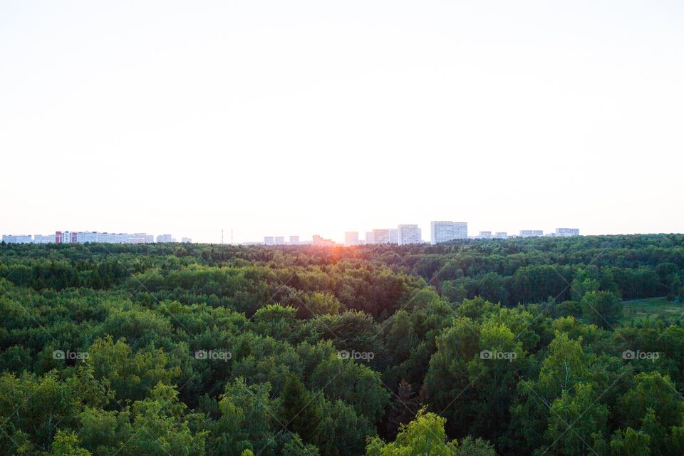 Nature, Tree, No Person, Travel, Landscape