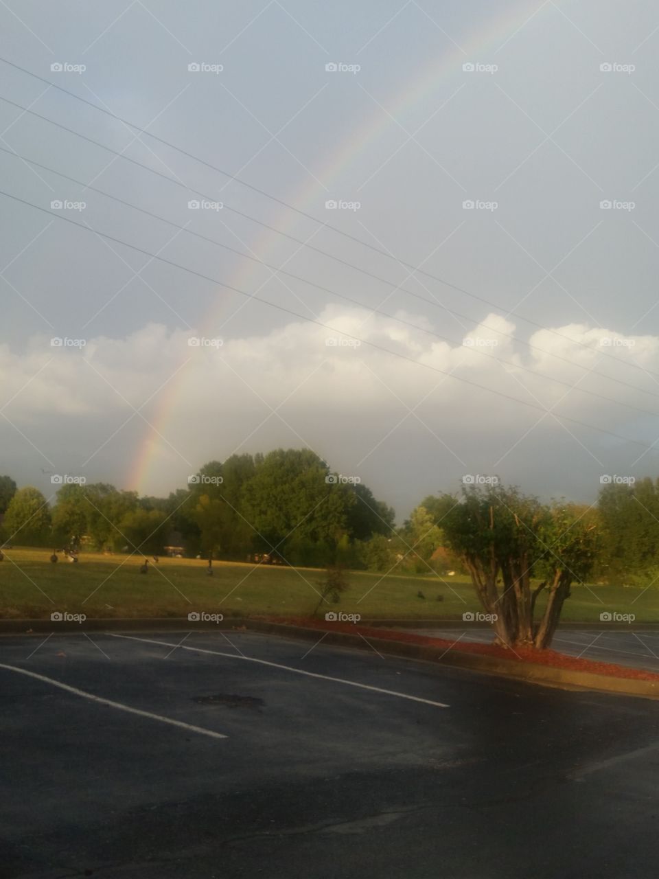 Southern Rainbow