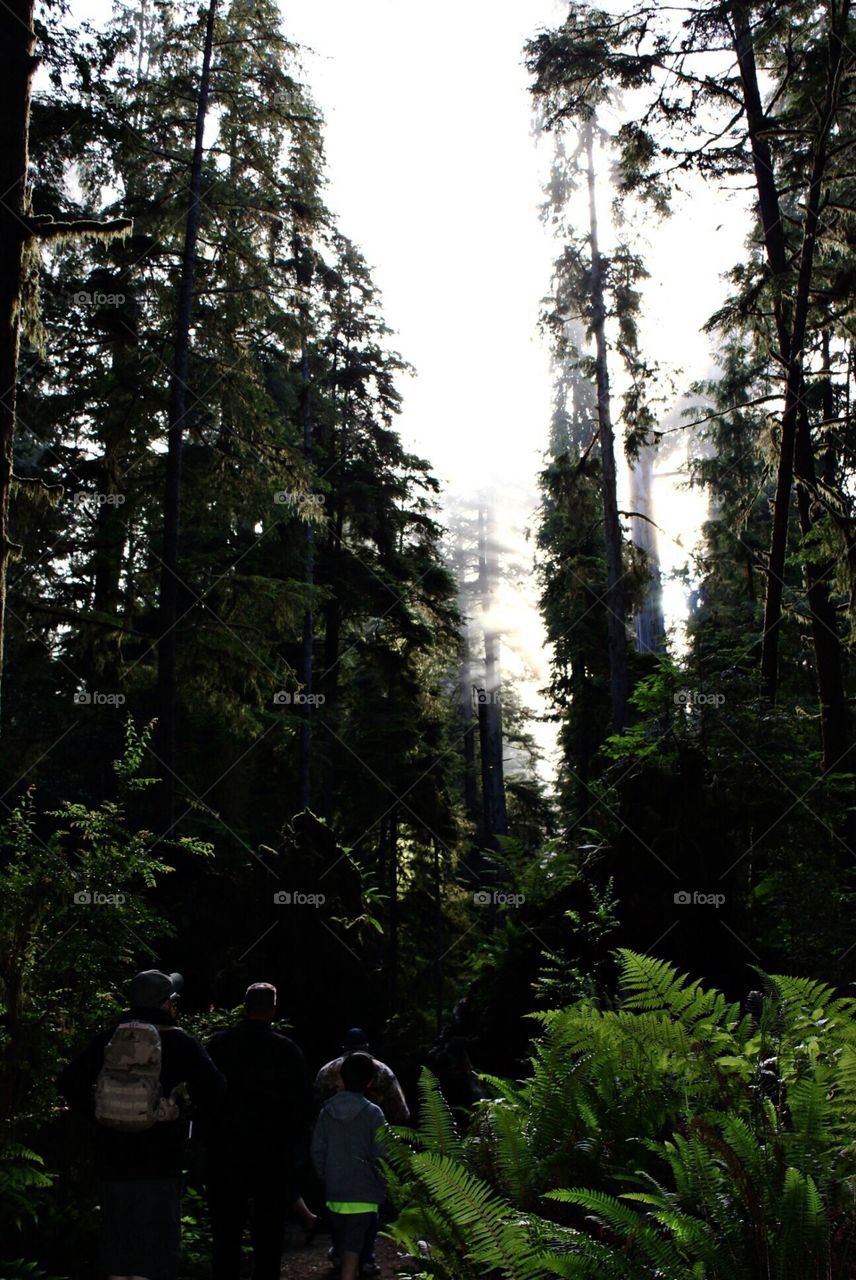 Family hiking along trail in Jedidiah Smith Redwoods State Park in Del Norte County, California