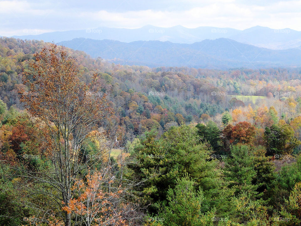 nature outdoors wood mountain by refocusphoto