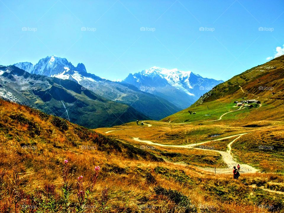 Golden and green meadows with crisscrossing paths in the foreground with Mont Blanc and glacier in the background with blue sky overhead