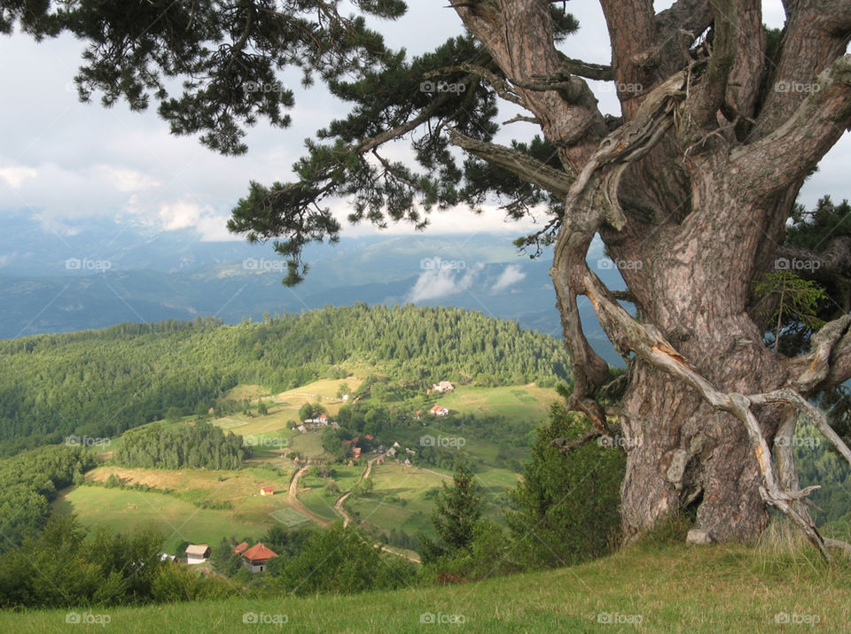 Small vilage on the mountain