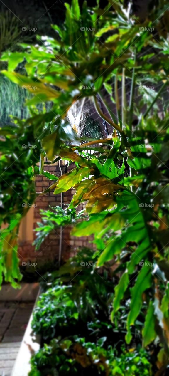 Nature mixed with us