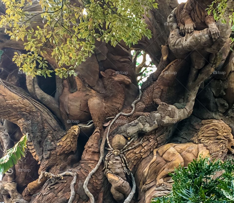 How many animals do you see carved into this shot of the Tree of Life in Animal Kingdom? 
