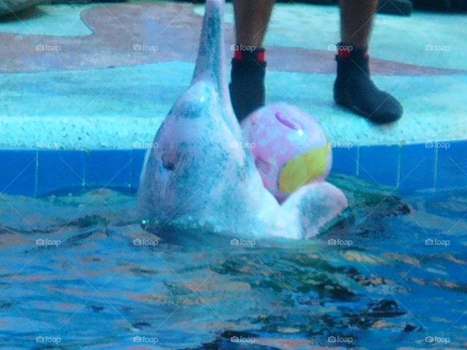 Swimming, Dug Out Pool, Water, Swimming Pool, Swimmer