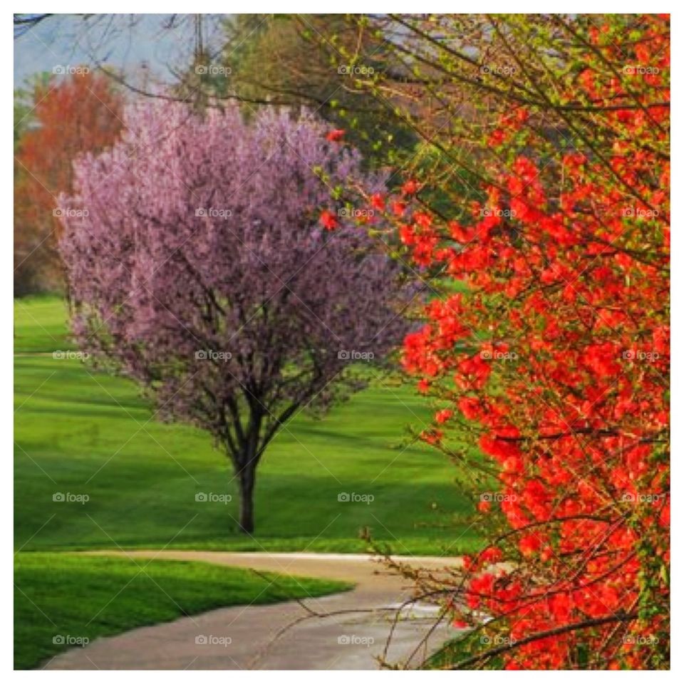 Colorful Spring Stroll