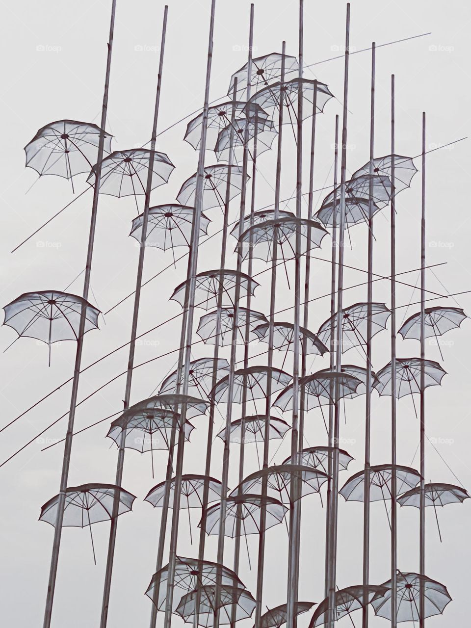 Urban umbrellas 