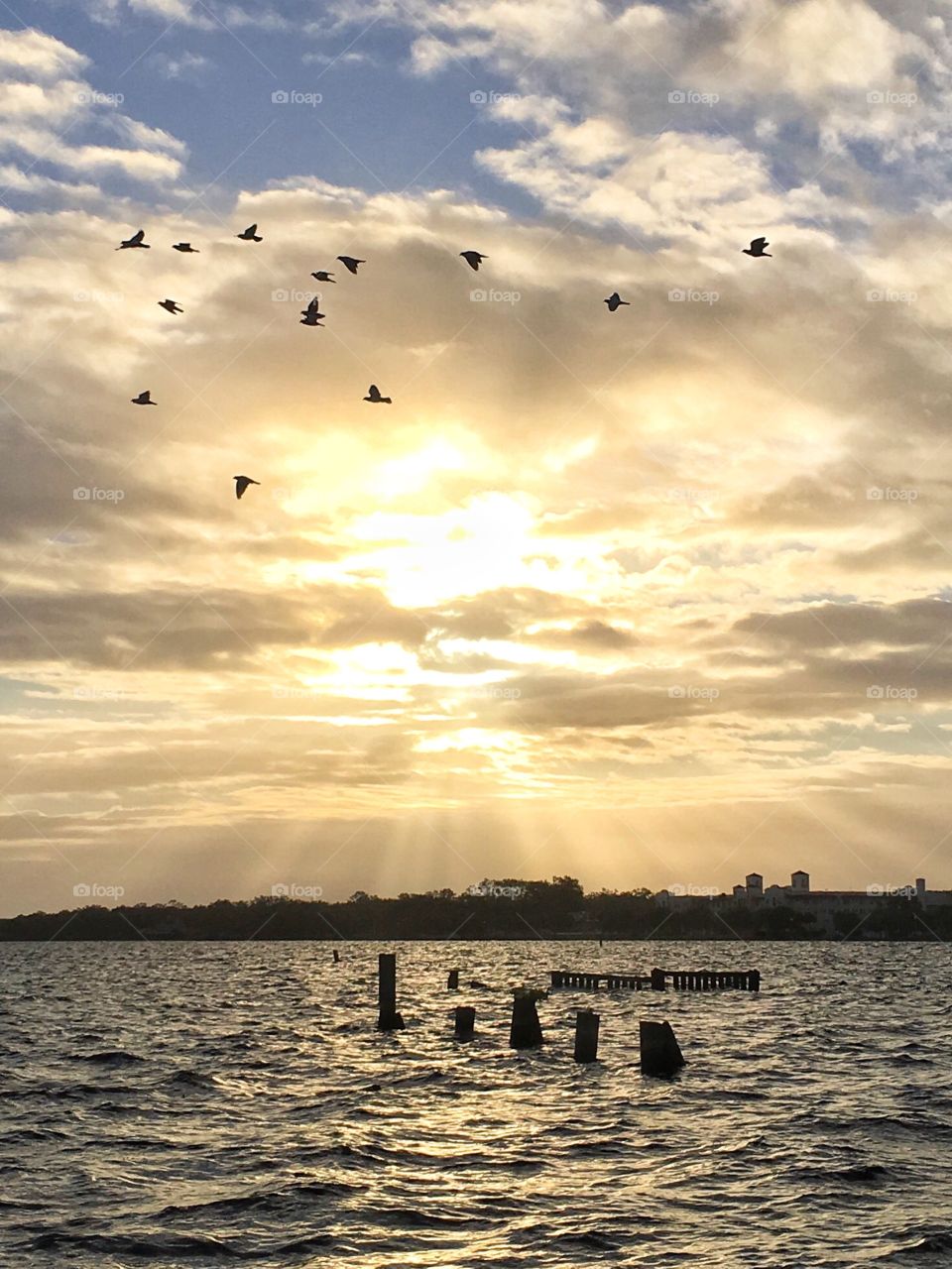 Water, Sunset, Sea, Lake, Beach