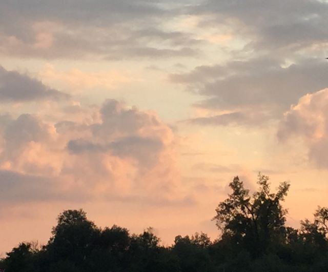 Fall sunset 