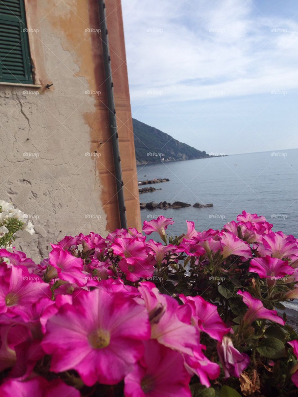 Camogli Genova Liguria