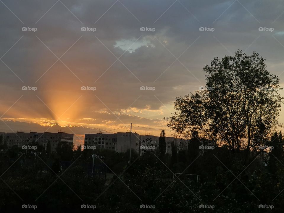 beautiful sunset in the city