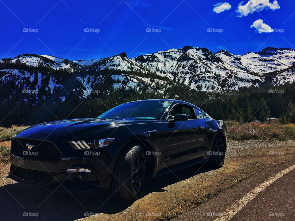 Mustang Sonora Pass summit. Drove over the Sonora Pass in CA recently and the views were amazing
