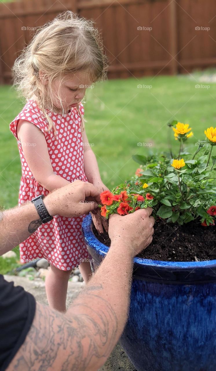 little girl planting spring flowers with her daddy, playing in the dirt in a dress, spring plantings, flower pot, spring colors