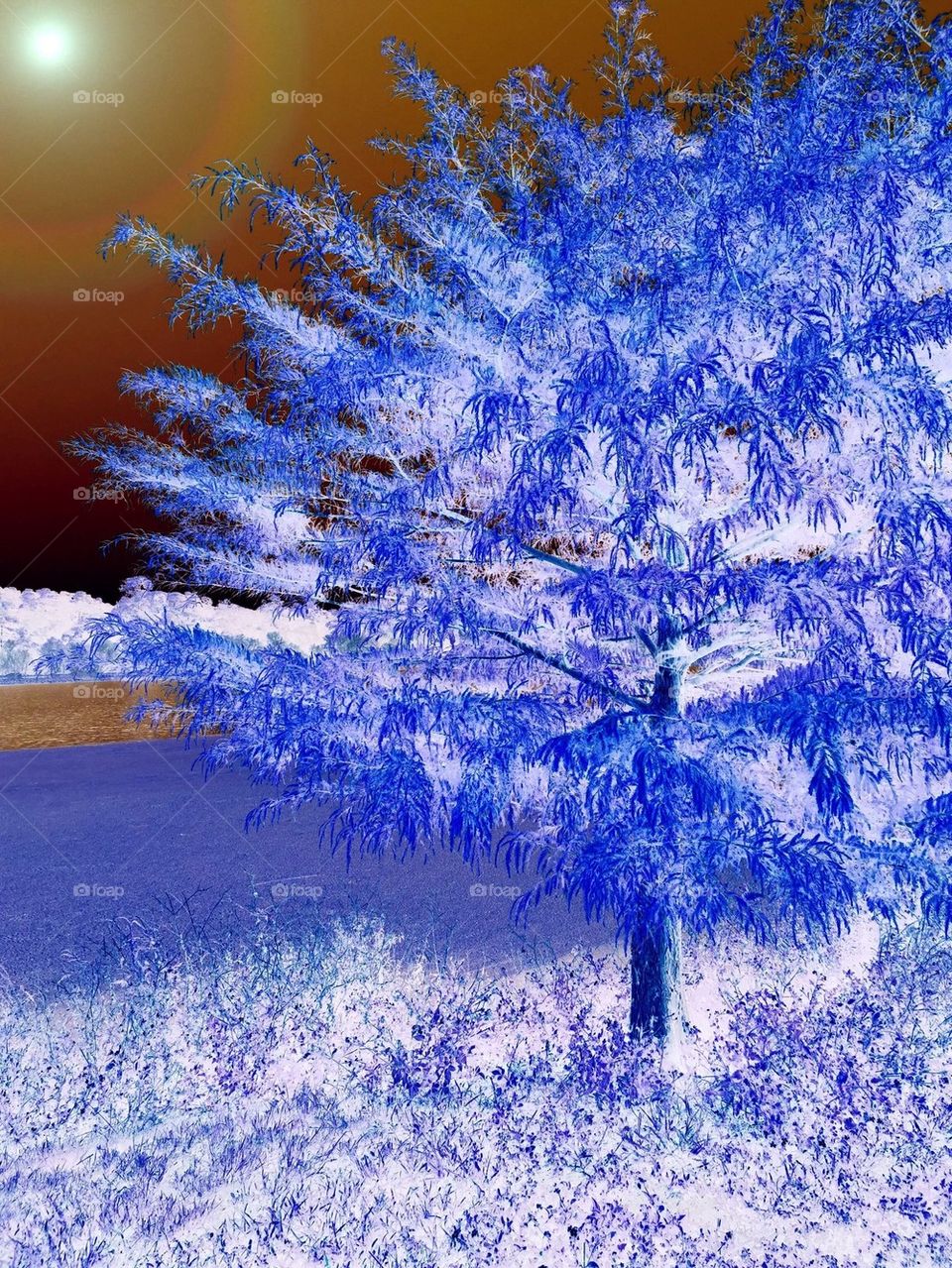 Nature in icy art form