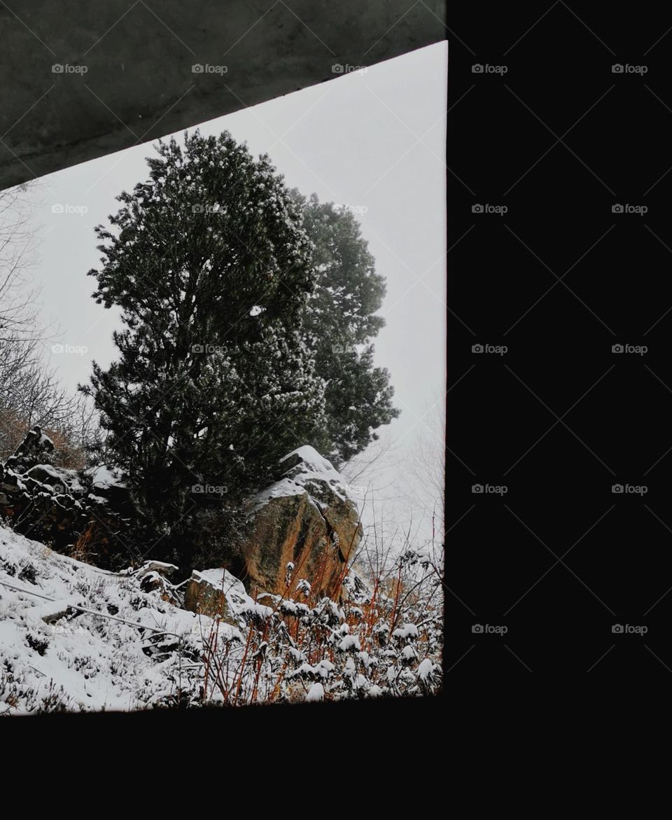 through the window in winter